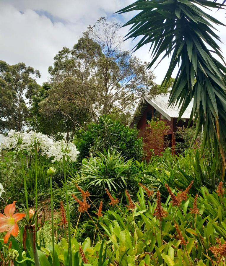 Sky Island Studios Mount Tamborine Exterior foto